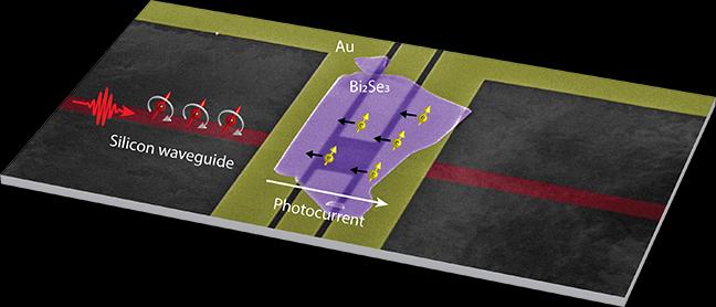 Use of topological insulator to direct the flow of photocurrent, University of Minnesota.