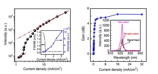 Changchun Team Investigates Threshold and Light Amplification in Electrically Pumped OSLDs