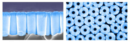 UCSD nanotube array for near perfect broadband absorber