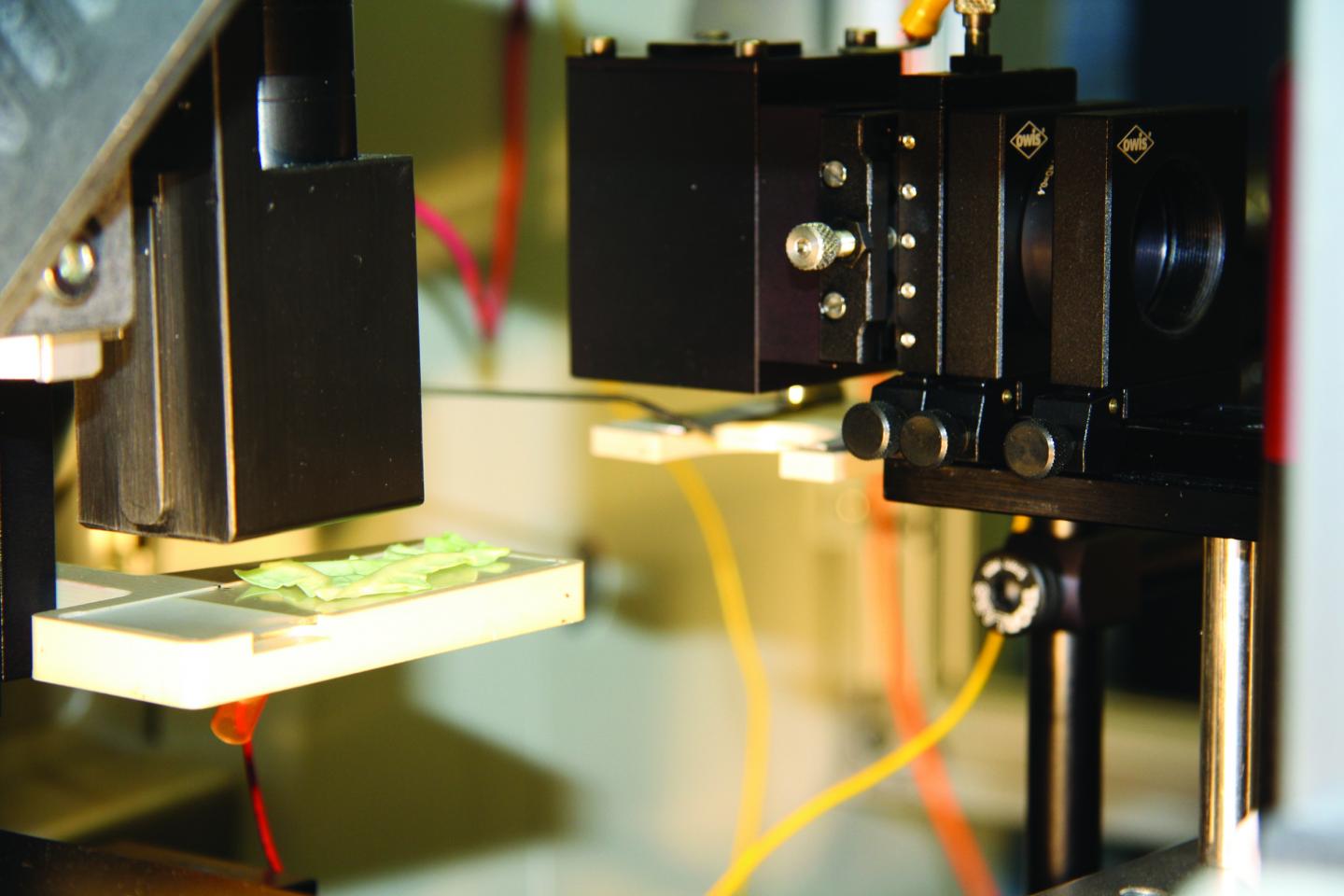 Custom built laser source for mass spectrometry imaging. Max Planck Institute for Chemical Ecology.