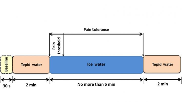 fNIRS Tool Measures Brain’s Response to Acute Pain