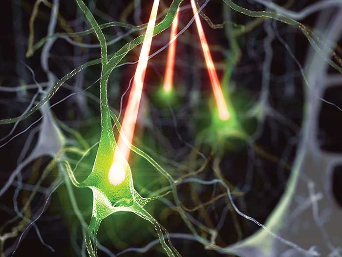 In all-optical physiology studies, lasers stimulate neurons and map activity in connected neurons via fluorescent probes such as genetically modified calcium indicators. 