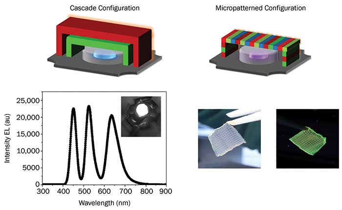 Quantum Dots, Fluorescent Proteins Vie for Supremacy