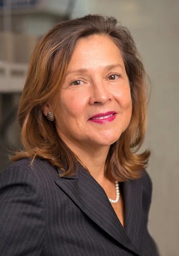 Professor Naomi Halas