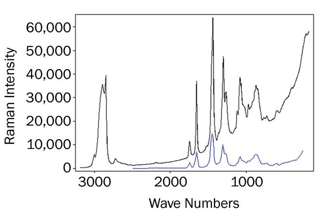Raman spectra of an extra virgin olive oil sample