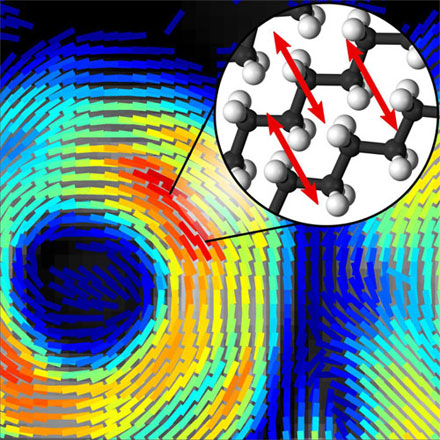 Raman-Based Approach Images Biological Processes in Action