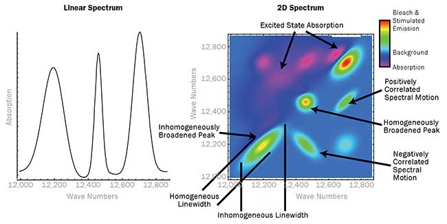 A 2D electronic spectrum potentially contains many different types of information. 