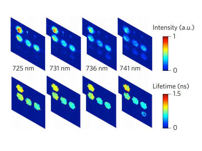 New Bioimaging Technique Accurately Tracks Multiple In Vivo Interactions