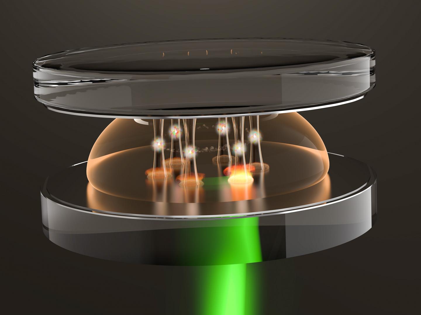 Optical Wells for Super-Photons Could be Forerunner of Quantum Circuits