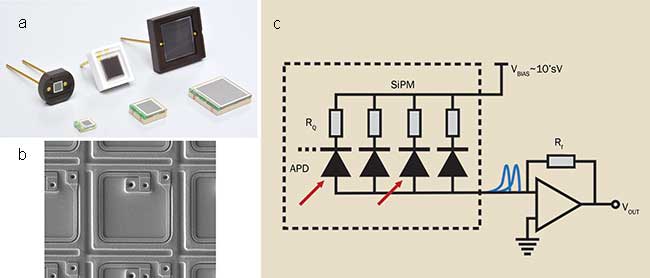 Various SiPMs (a); a single microcell (b)