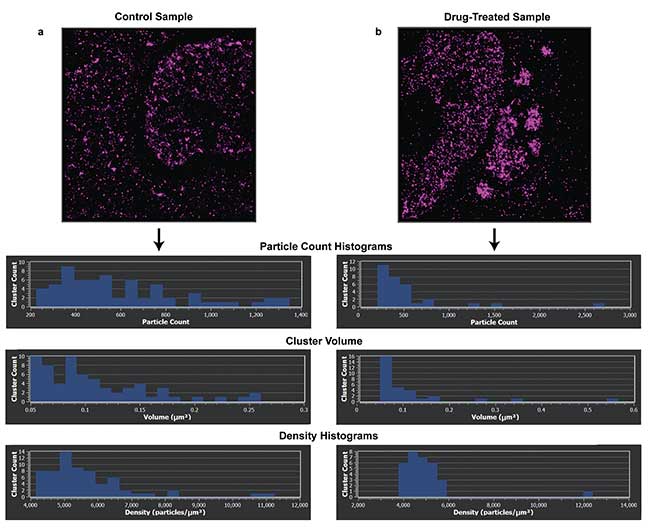 Density analysis of the clusters formed from two samples labeled with Alexa Fluor