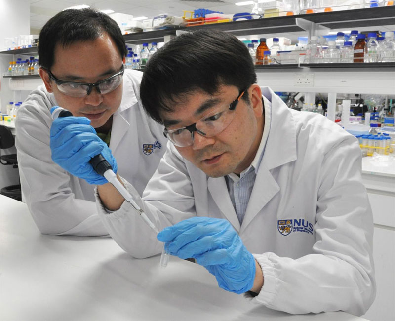 Photosensitizer Activates Anti-Cancer Properties in Antimalarial Drug