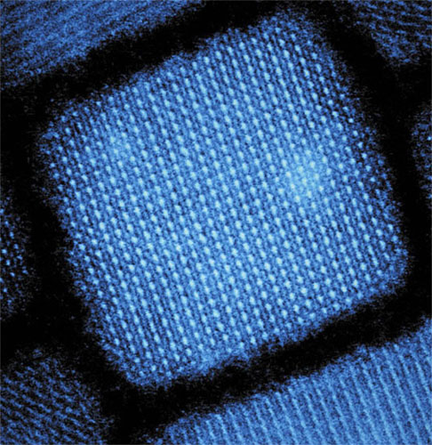 Discovery Could Lead to Materials with Brighter, Faster Light Emission