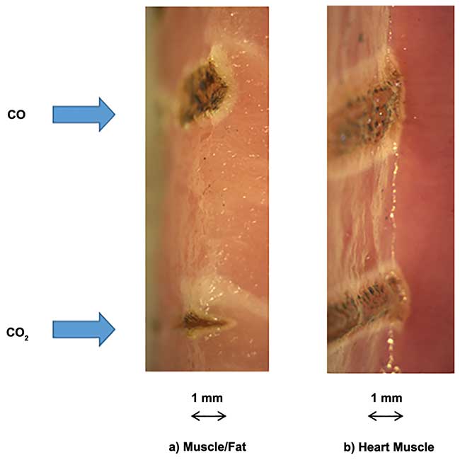 Comparison of porcine tissue samples cut with 8 W of CO and CO2 lasers at a speed of 4 mm/s.