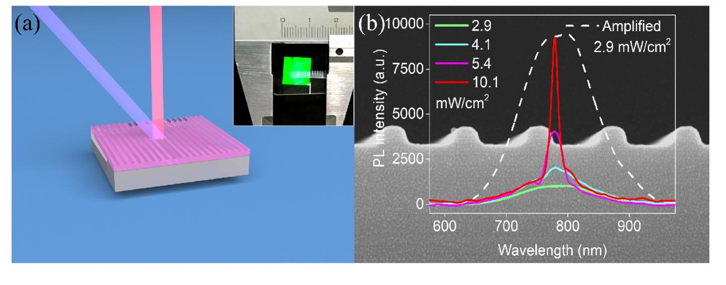 A schematic image of the DFB Si laser, Fudan University.