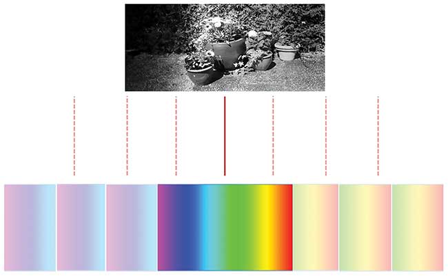 Relative movement between the camera and object enables 3D hyperspectral imaging.