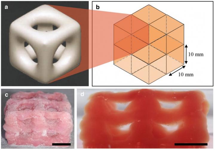 3D Printing Technique Replicates Biological Structures