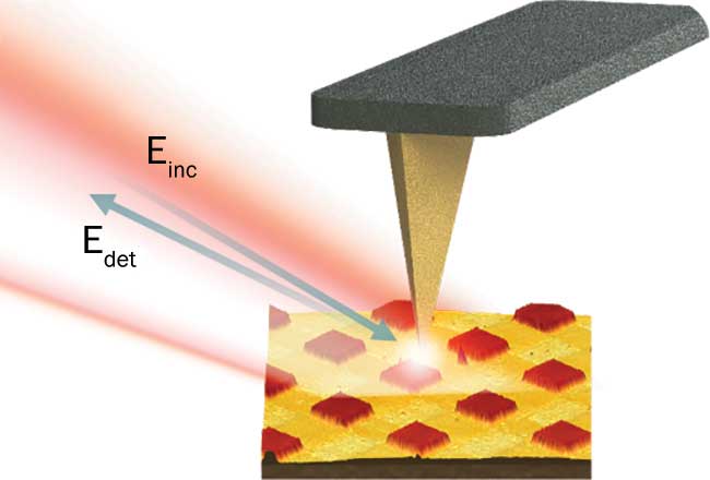 Working principle of scattering-type near-field scanning microscopy. 