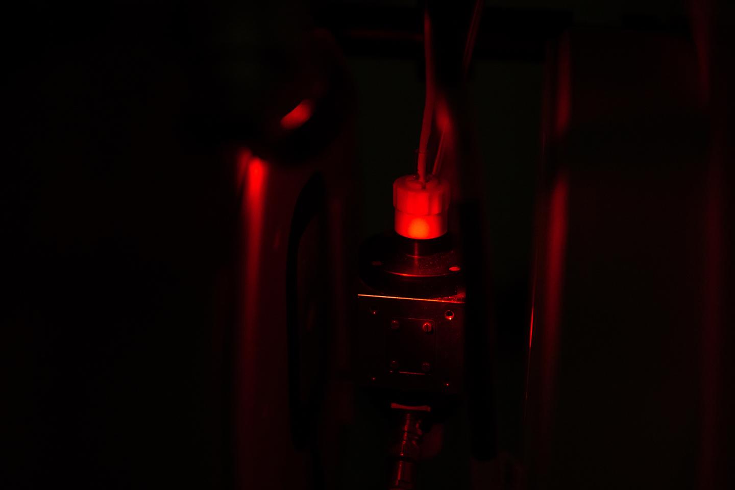 Phytochromes from plants react to red and infrared light. Courtesy of RUB, Kramer.