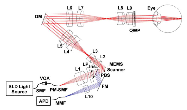 Figure 1. Hand-held adaptive optic scanning laser ophthalmoscopy (HAOSLO) probe system schematic and optical design. Red and blue rays depict the illumination and collection paths, respectively. APD: avalanche photodiode; DM: deformable mirror; FM: fold mirror; L1–L10: lenses; LP: linear polarizer; MMF: multimode fiber; PBS: polarizing beamsplitter; PM: polarization-maintaining; QWP: quarter wave plate; SLD: superluminescent diode; SMF: single-mode fiber; VOA: variable optical attenuator. Reprinted with permission from reference 1.