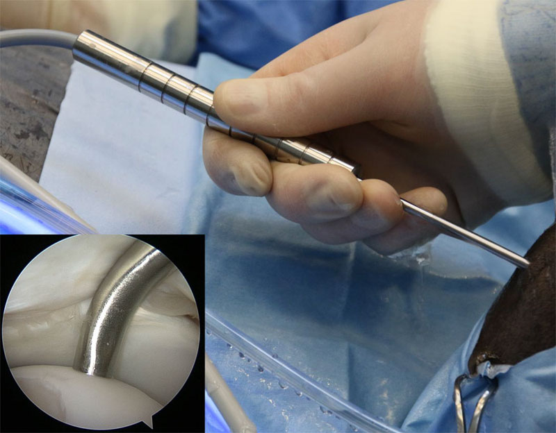 novel arthroscopic probe in an equine knee joint in vivo with the probe tip in contact with cartilage surface (inset). Jaakko Sarin, Univ. of Eastern Finland.