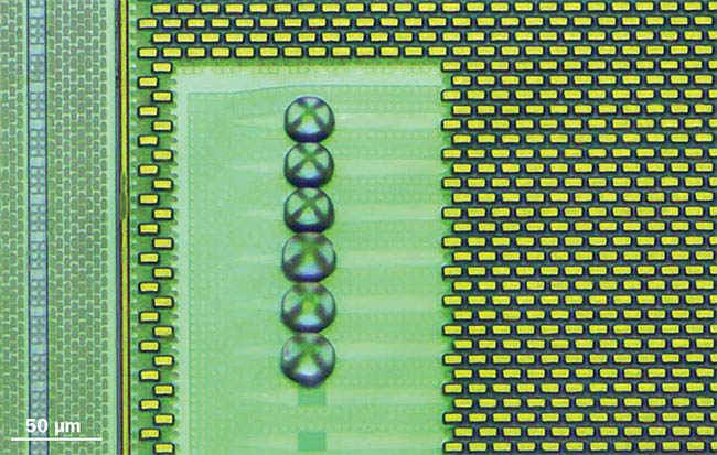 Figure 3. Optical microscope image of the 3D-printed hemispherical lenses on a photonic chip.