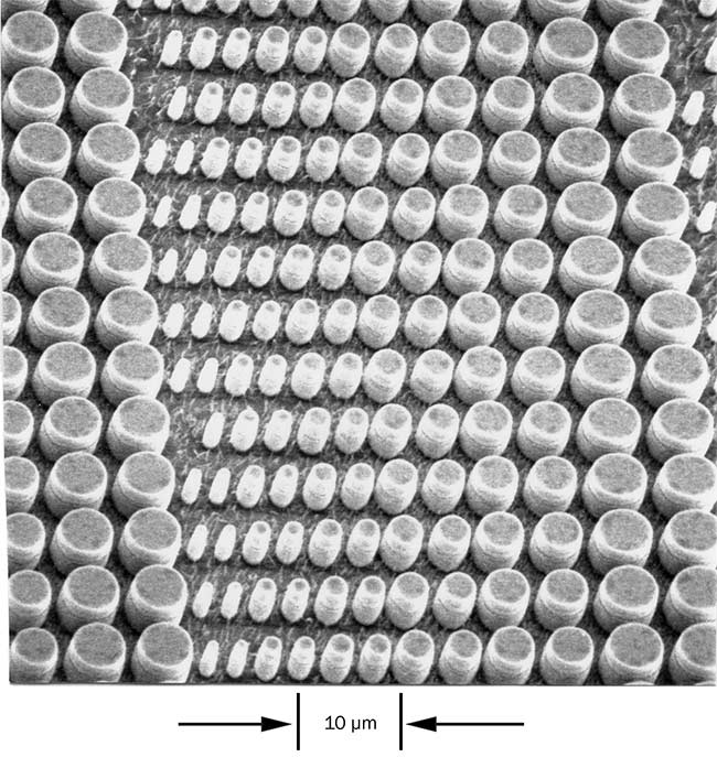 Figure 1. Close-up of a scanning electron microscope image from 1989 of a 6- × 8-mm chip with more than 1 million VCSELs. Photo by Axel Scherer.