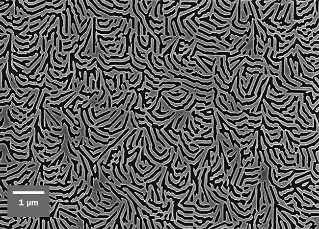 	Figure 2. The optics functions of metalenses can be designed computationally and then realized by precision nanopatterning of thin films of metal and semiconductor using well-established industrial fabrication technology. This metasurface contains the function of multiple lenses for light-field imaging. Courtesy of M. Brongersma/Stanford University. 