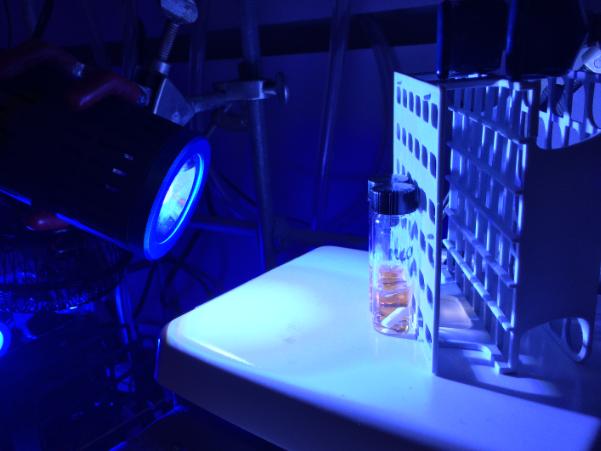 Using LEDs to activate photocatalysts for drug discovery. University of Michigan.