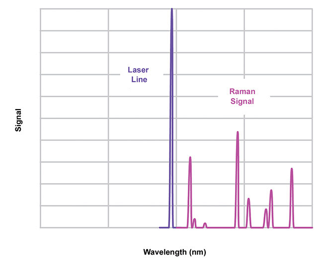 Figure 1. A Raman “fingerprint” spectrum. Courtesy of Semrock.