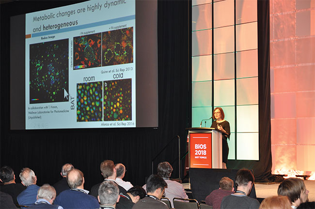 Plenary and other presentations and talks allow industry experts to share their knowledge and insight with the worldwide biophotonics community. Courtesy of SPIE.