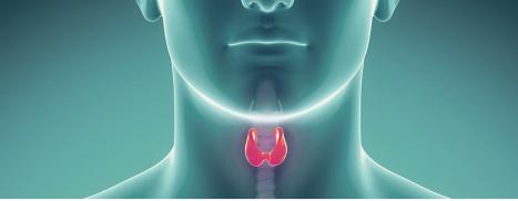 Point-of-Care Optical Device Could Improve Thyroid Cancer Screening