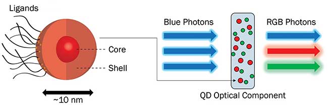 Composition and function of a quantum dot (QD).