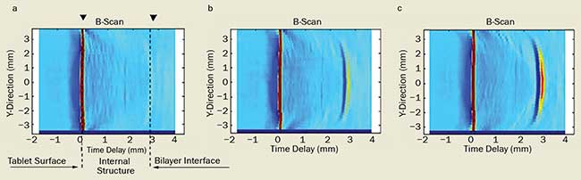 Three bilayer tablets compressed under different conditions.