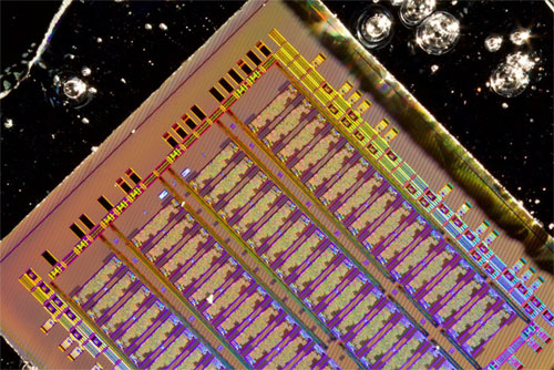 The bulk silicon electronic-photonic chip designed by the MIT, UC Berkeley and Boston University team. Courtesy of Amir Atabaki.