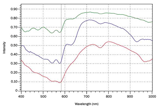 Reflectance spectra for the three pixels identified on a beef steak.