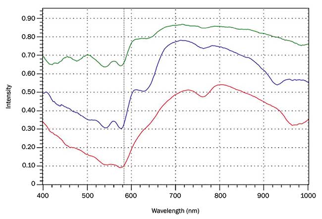 Reflectance spectra for the three pixels identified on a beef steak. 