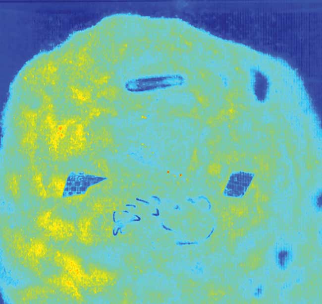 A hyperspectral image of sugar and foreign objects.