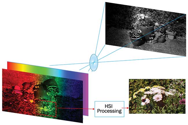 Image acquisition and workflow with a filter-based hyperspectral imaging camera.