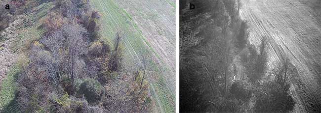 Thermal Camera-Equipped UAVs Spot Hard-to-Find Subjects