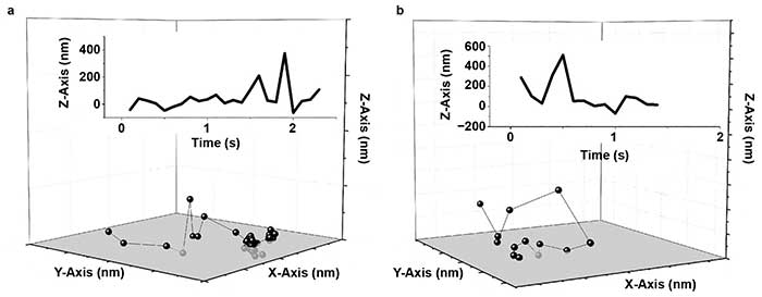 Human serum albumin (HSA) hops on a fused silica (FS) surface.