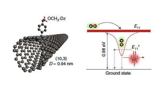 Carbon Nanotubes Emerge as Potential Quantum Light Sources