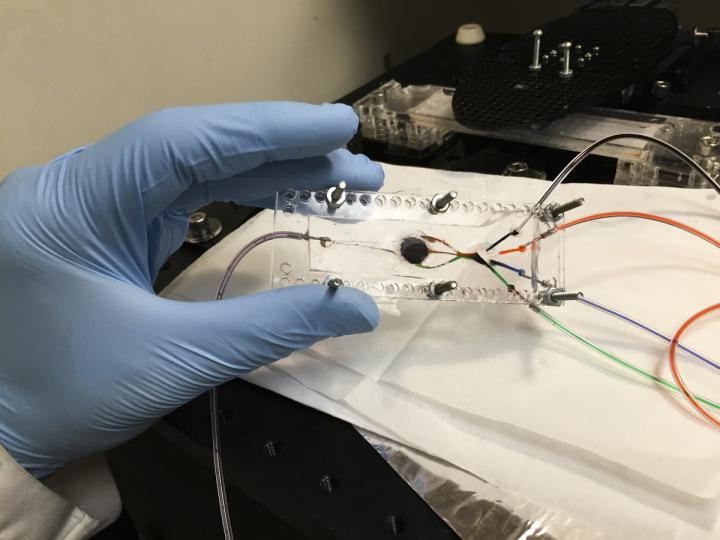 3D bioprinter for printing biological tissue. UCLA Samueli School of Engineering.