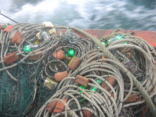 Fishing net with LED lights, University of Exeter.