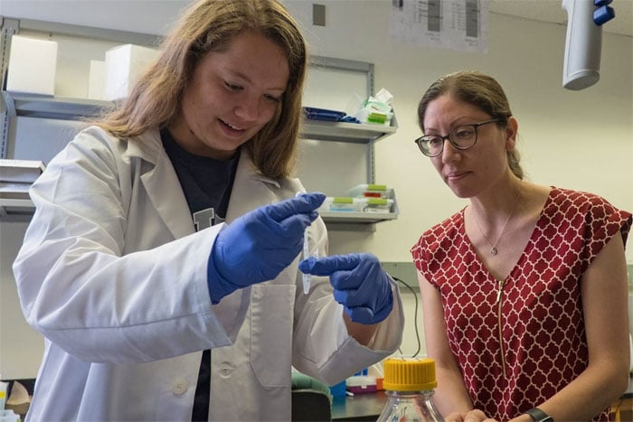 Undergraduate Sarah Downing (left) and neurodevelopmental biologist Rosa Uribe conduct research in the Uribe lab at Rice University. Courtesy of Jeff Fitlow/Rice University.
