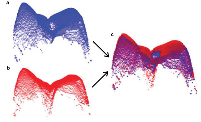3D surface imaged with co-polarization optical coherence tomography (CP-OCT).