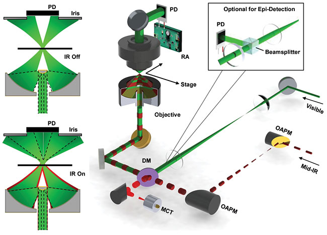 Photothermal IR Spectroscopy Boosts Chemical Microscopy, Expands Applications