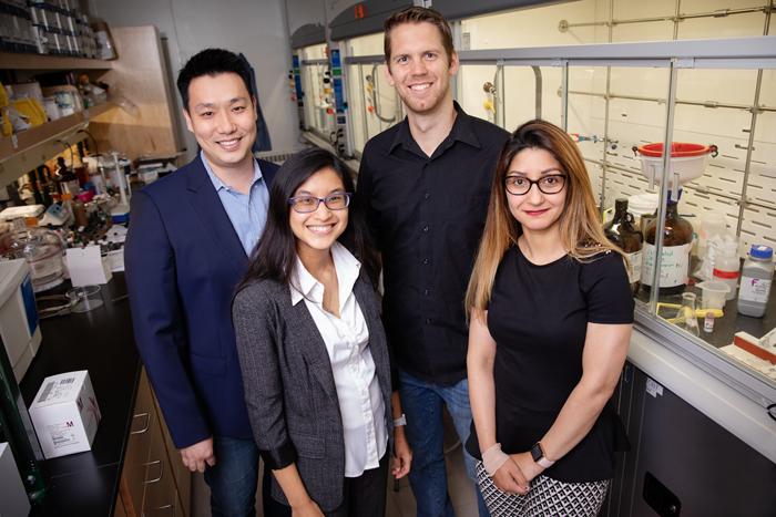 University of Illinois researchers developed a molecular probe that can tag and track elusive cancer stem cells in both cell cultures and live organisms. From left: Chemistry professor Jefferson Chan, graduate students Chelsea Anorma and Thomas Bearrood, and postdoctoral researcher Jamila Hedhli. Courtesy of  L. Brian Stauffer.