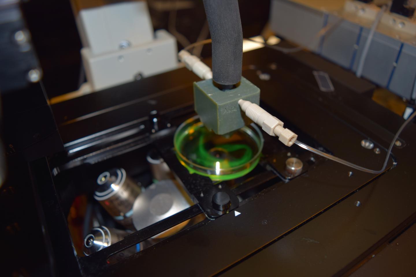 3D printed microfluidic probe, NYU Abu Dhabi.