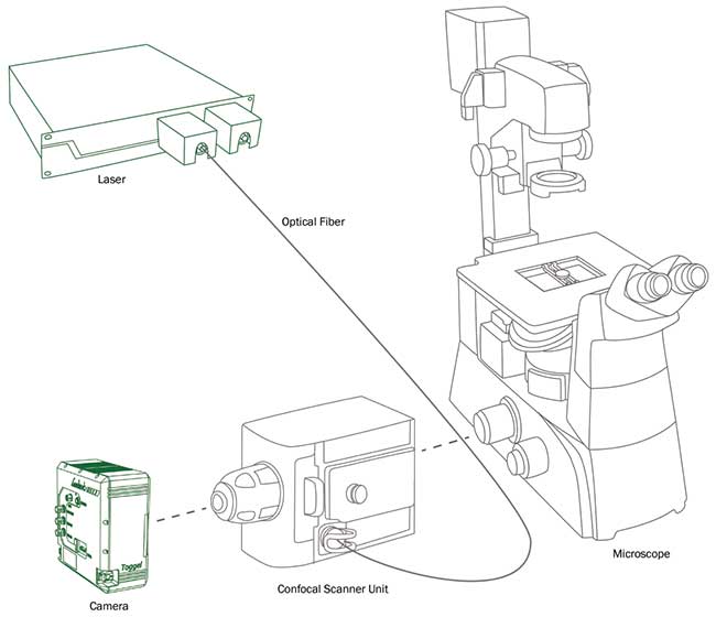 Schematic overview of an imaging setup for fluorescence sensing.